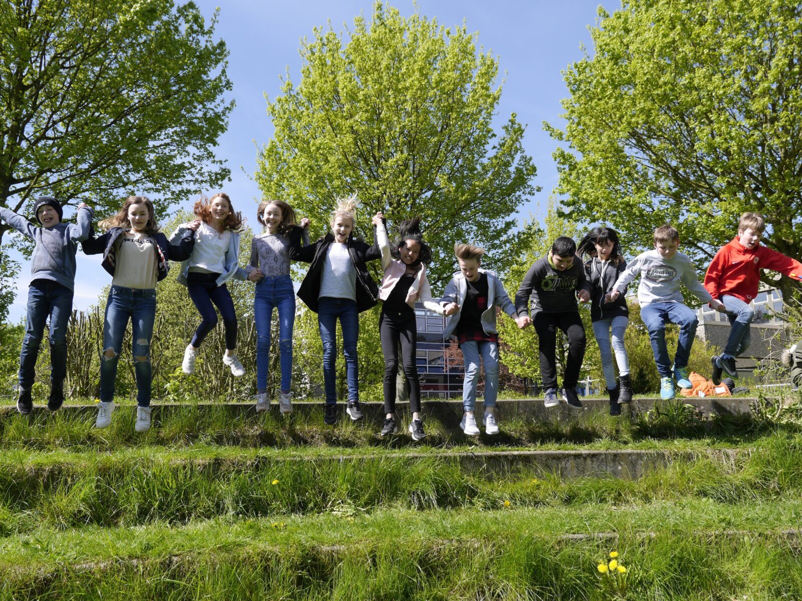 Eine Gruppe von Kindern springt gemeinsam auf einer Steintreppe im Freien in die Luft, umgeben von grünem Gras und blättrigen Bäumen unter einem strahlend blauen Himmel. Sie wirken fröhlich und voller Energie, mit erhobenen Armen und lächelnden Gesichtern.