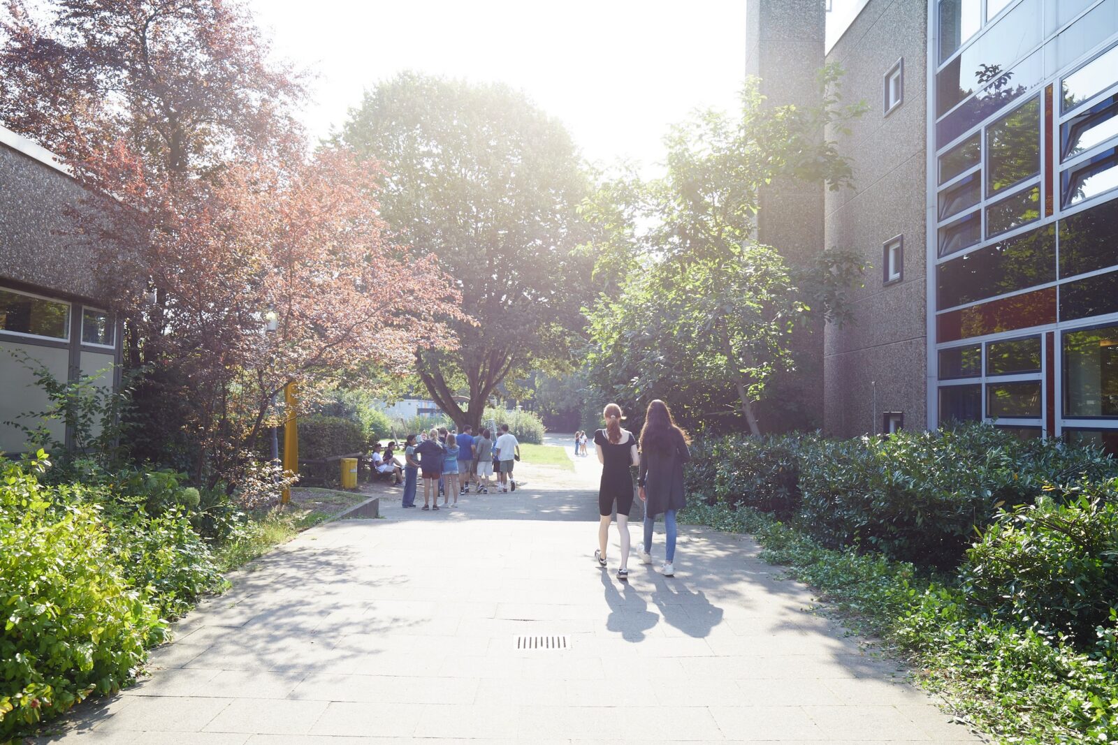 Ein sonnenbeschienener Weg zwischen modernen Gebäuden, auf dem Gruppen von Menschen spazieren gehen und Bäume Schatten spenden.