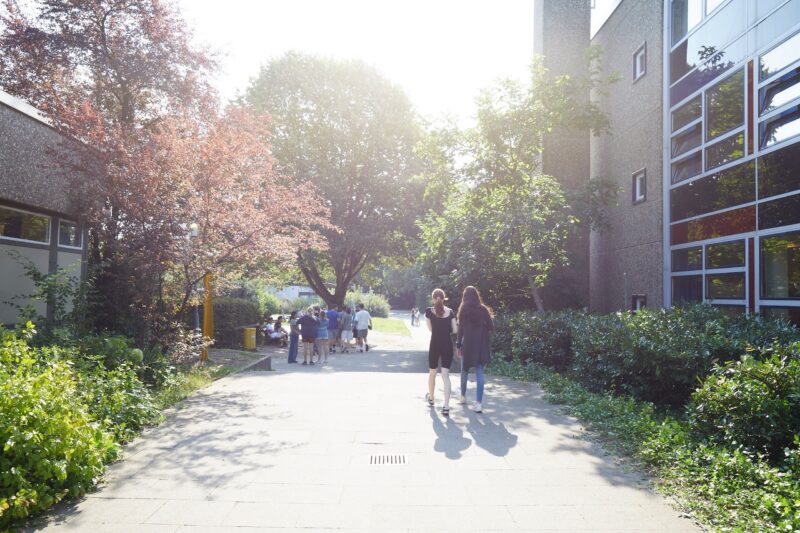 Menschen spazieren auf einem sonnendurchfluteten Weg zwischen Gebäuden, die von Grünflächen und Bäumen umgeben sind; in der Ferne hat sich eine Gruppe unter einem großen Baum versammelt.